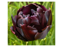 ���� ���� 192,5 ���.jpg