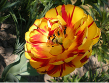 ������ ����� 107,8 ���.jpg