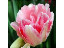 ������ 111,65 ���.jpg