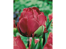 �������.jpg 123,2�