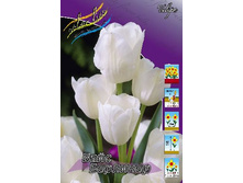 ���� �������� 138,6 ���.jpg