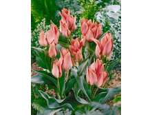 ������� 92,4 ���.jpg