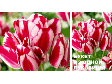 ������� ���� 161 ���.gif