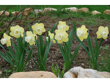 ������ 62,7 ���.jpg