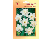 ������ ���� 63 ���.jpg