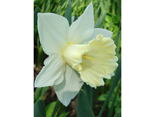 ����� ��� 62,7 ���.jpg