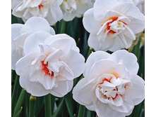 ��������� 75,9 ���.jpg