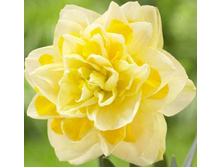 ���� ��������� 69,3 ���.jpg