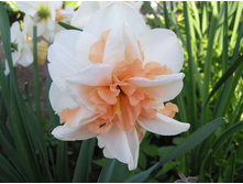 ������ 66 ���.jpg