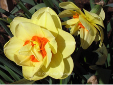 ����� 69,3 ���.jpg