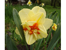 ����� 69,3 ���.jpg