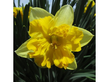 ��������� 62,7 ���.jpg