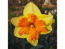 ��������� 75,9 ���.jpg