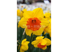 ��������� 75,9 ���.jpg