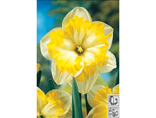 ������� 72,6 ���.jpg