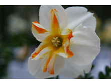 ������� 99 ���.jpg