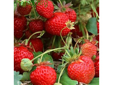 ��������� ��������� 2.