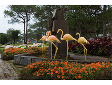 20140512-13-25-52-WED_8979.jpg