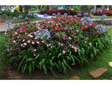 20140512-13-26-15-WED_8980.jpg
