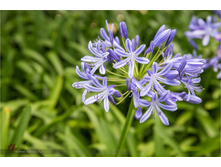 20140513-09-27-56-WED_9261.jpg