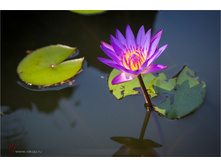20140515-06-13-29-WED_9481.jpg