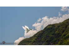 20140515-08-09-12-WED_9721.jpg