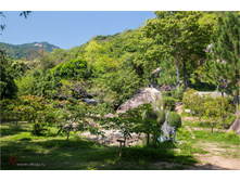 20140515-10-57-40-WED_9835.jpg