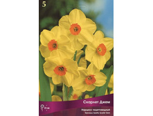 ������� ���� �������������� ����  52,8 ���.jpg