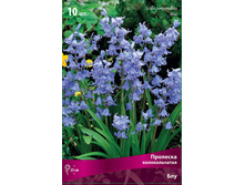 ��� (10��) 87 ���.jpg