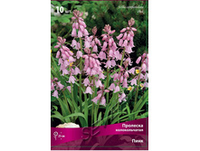 ���� (10��) 87 ���.jpg