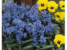 ��������� (10��) 79 ���.jpg