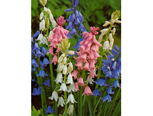 ����� (10��) 95 ���.jpg