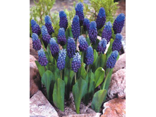 ������������� (10��) 63 ���.jpg