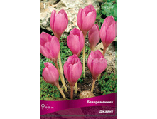 ������ 110 ���.jpg