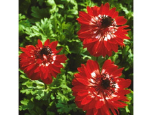 �������� (10��) 66 ���.jpg