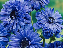 ���� ��������� (10��) 66 ���.jpg