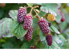 ������� ������� 280 ���.jpg