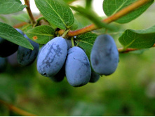 ��������� ����� 207 ���.jpg