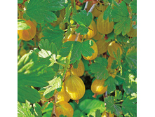 ��������� �������� 202 ���.jpg