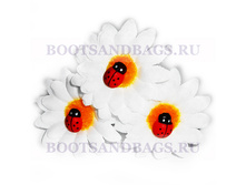 ������� ��� ����� ������� � ������ �������� 3 �� 69�.jpg