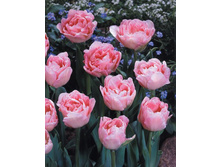 ������� �������� 123,2 ���.jpg