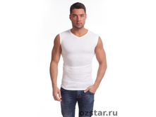 R-171 OZSTAR (������) 115