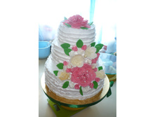 ���������,7 ��