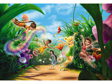 8-466_Fairies_Meadow_m 368-254��.  26,9����