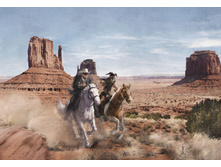 8-473 Lone Ranger 368-254��  26,9����