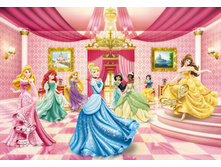 8-476_Princess_Ballroom_m ����. 368-254��.  26,9����