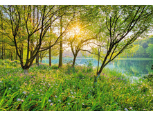 8-524_Springlake_m 368-254��   26,5����
