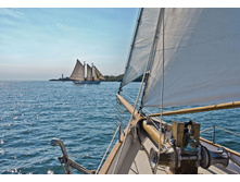 8-526_Sailing_m 368-254��     26,5����