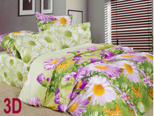 ��������� ���� (h112002aa).jpg