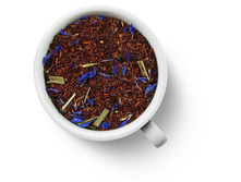 ������ ������� ��������